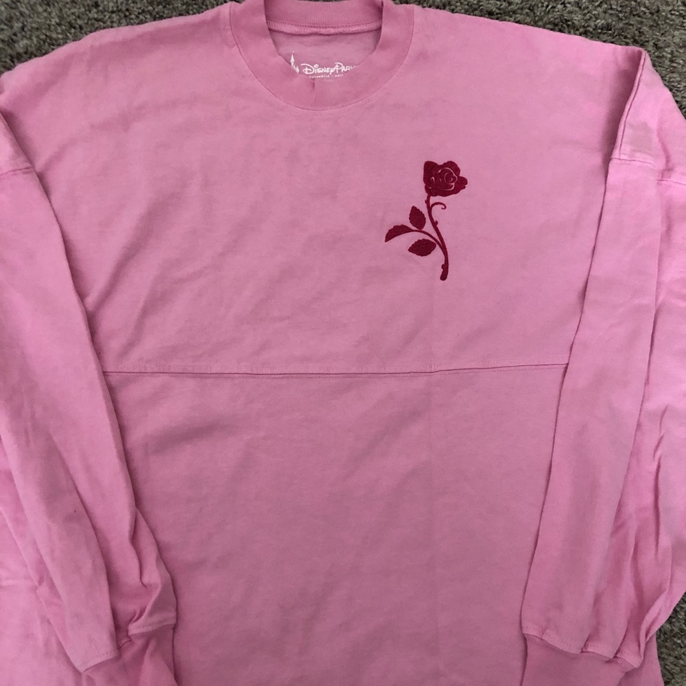 walt disney world princess spirit jersey